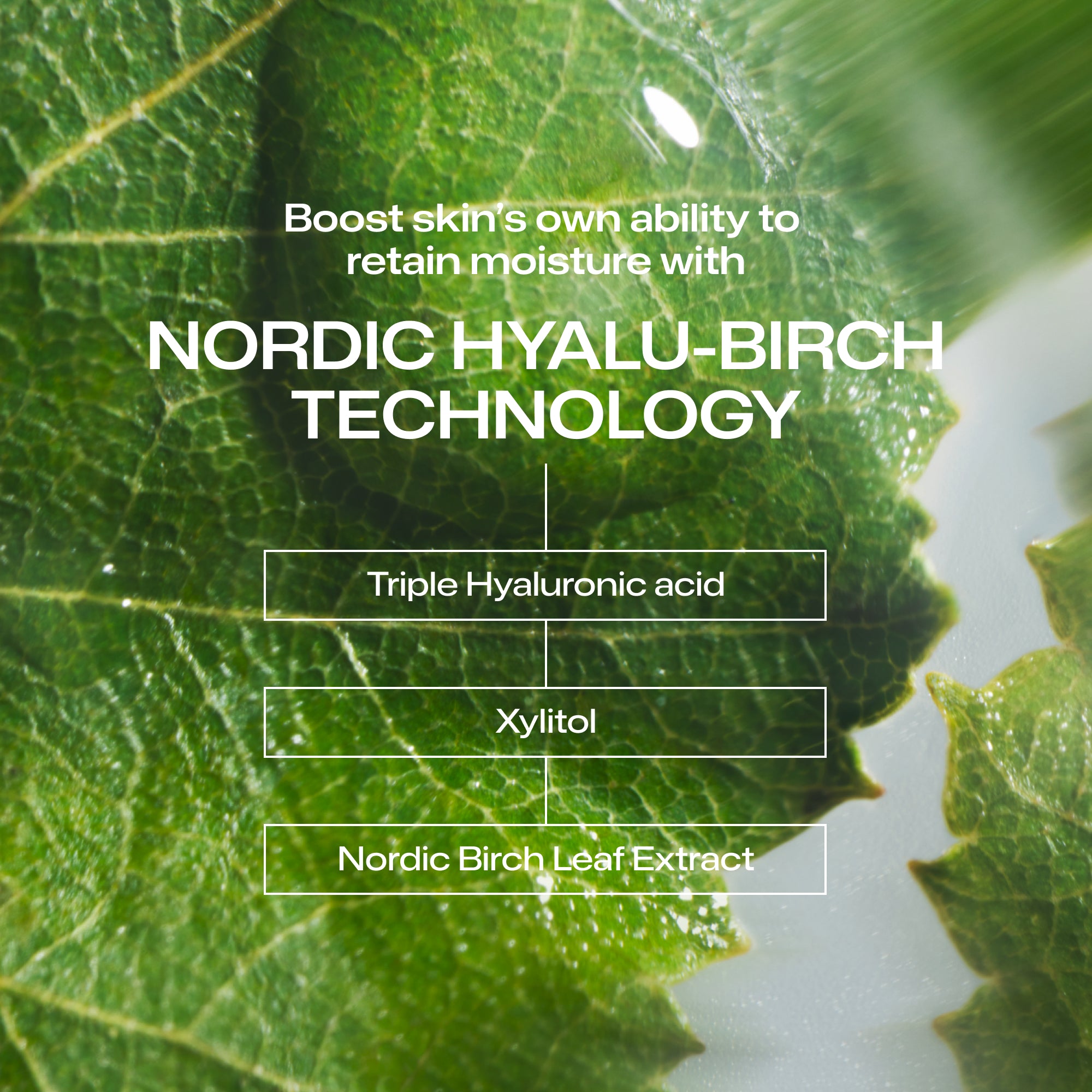 Kosteuttava Silmänympärysgeelivoide